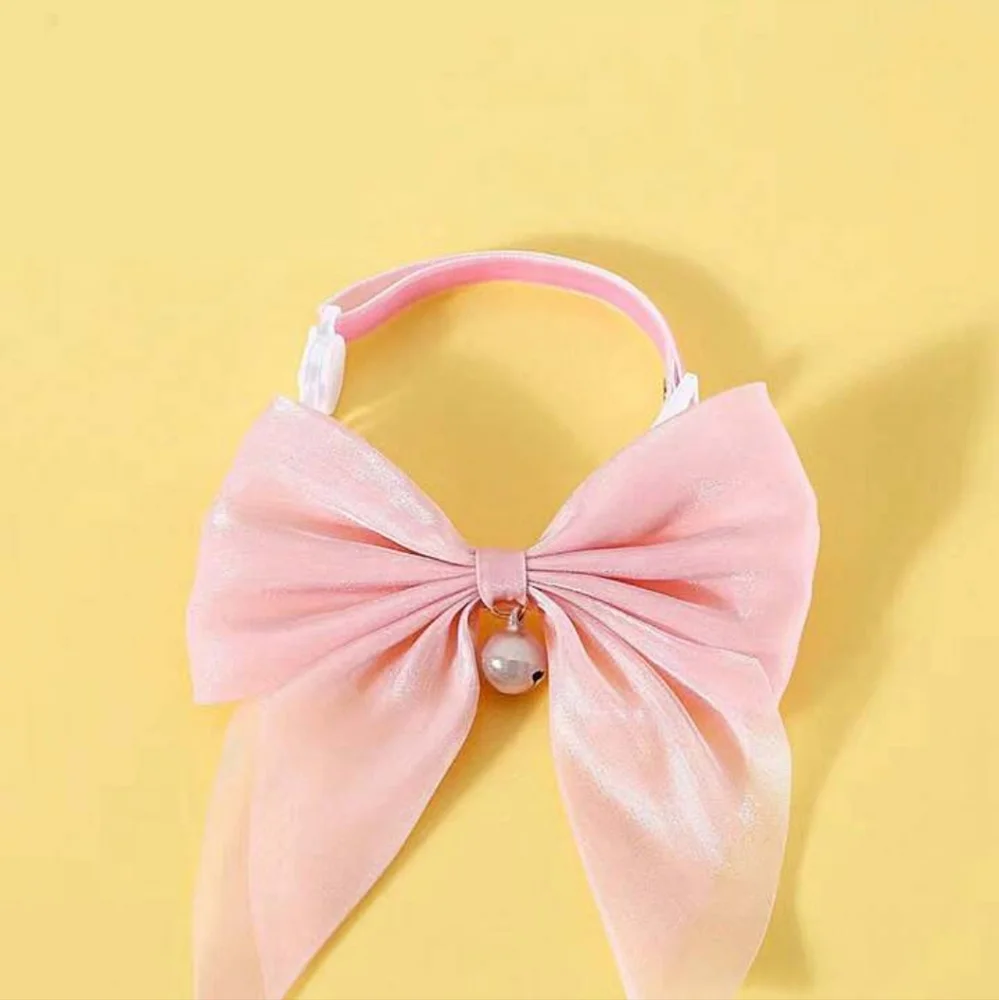 Cat or Small Dog Collar